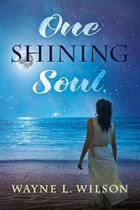 one shining soul by wayne l wilson
